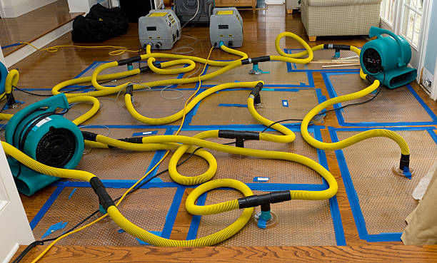 Professional Water Damage Repair technician working in Adelphi, OH